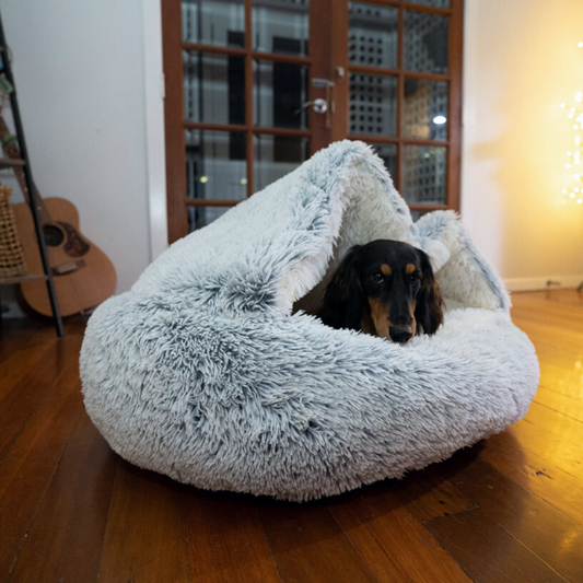 Winter Pet Plush